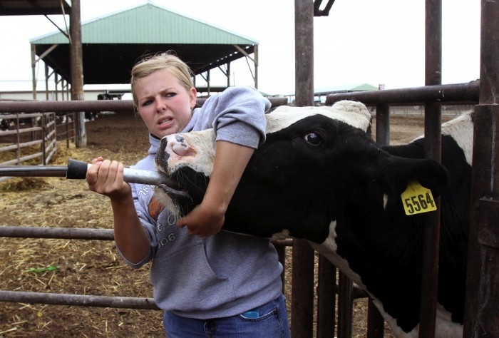 VETERINARIANS